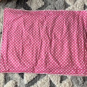 GUC 2 standard size Garnet Hill pillow shams